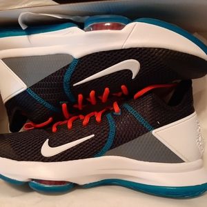 Nike Lebron Witness 4